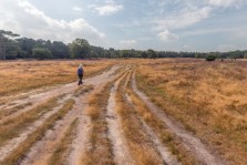 Zwarte Berg Hoornboegse Heide