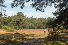 Zwarte Berg Hoornboegse Heide