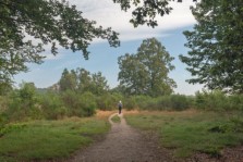 Zwarte Berg Hoornboegse Heide