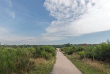 Zwarte Berg Hoornboegse Heide